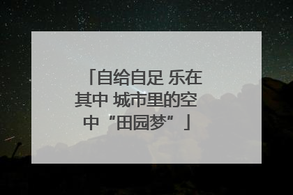 自给自足 乐在其中 城市里的空中“田园梦”