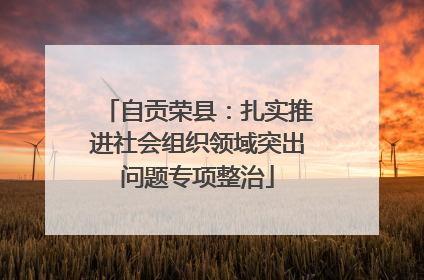 自贡荣县：扎实推进社会组织领域突出问题专项整治