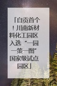 自贡首个！川南新材料化工园区入选“一园一策一图”国家级试点园区