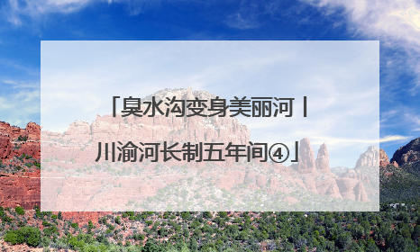 臭水沟变身美丽河丨川渝河长制五年间④