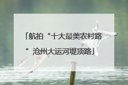 航拍“十大最美农村路”沧州大运河堤顶路