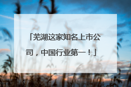 芜湖这家知名上市公司，中国行业第一！