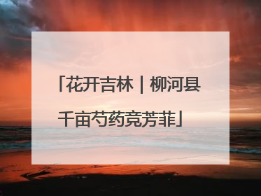 花开吉林｜柳河县千亩芍药竞芳菲