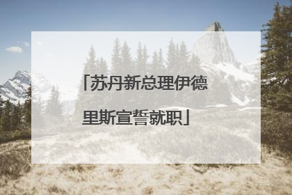 苏丹新总理伊德里斯宣誓就职
