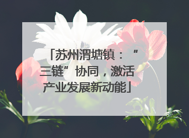 苏州渭塘镇：“三链”协同，激活产业发展新动能