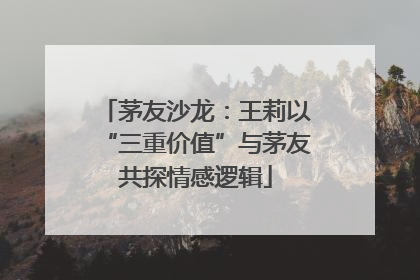 茅友沙龙：王莉以“三重价值”与茅友共探情感逻辑