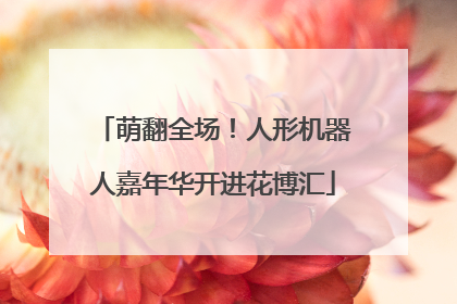 萌翻全场！人形机器人嘉年华开进花博汇