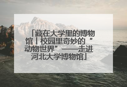 藏在大学里的博物馆丨校园里奇妙的“动物世界”——走进河北大学博物馆