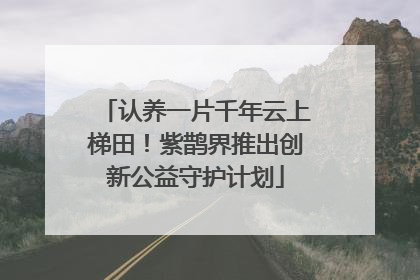 认养一片千年云上梯田！紫鹊界推出创新公益守护计划