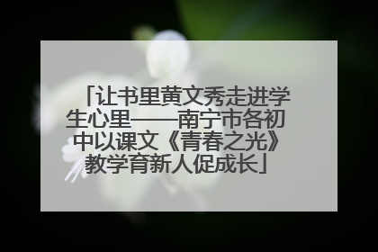 让书里黄文秀走进学生心里——南宁市各初中以课文《青春之光》教学育新人促成长