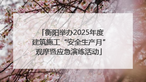 衡阳举办2025年度建筑施工“安全生产月”观摩暨应急演练活动