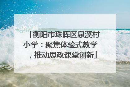 衡阳市珠晖区泉溪村小学：聚焦体验式教学，推动思政课堂创新