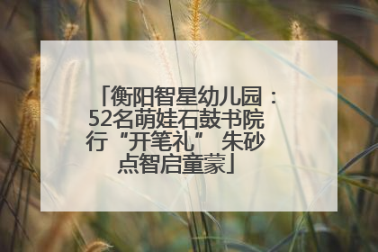 衡阳智星幼儿园：52名萌娃石鼓书院行“开笔礼” 朱砂点智启童蒙