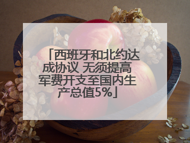 西班牙和北约达成协议 无须提高军费开支至国内生产总值5%