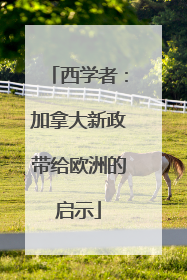 西学者：加拿大新政带给欧洲的启示