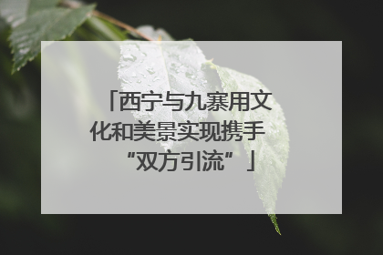 西宁与九寨用文化和美景实现携手“双方引流”