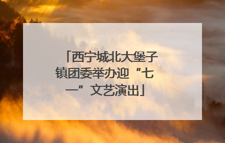西宁城北大堡子镇团委举办迎“七一”文艺演出
