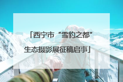 西宁市“雪豹之都”生态摄影展征稿启事