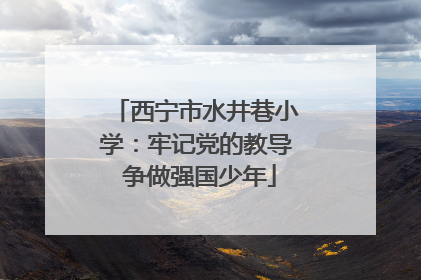 西宁市水井巷小学：牢记党的教导 争做强国少年