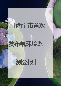 西宁市首次发布氧环境监测公报