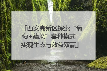 西安高新区探索“葡萄+蔬菜”套种模式 实现生态与效益双赢