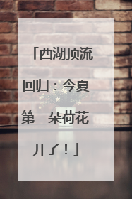 西湖顶流回归：今夏第一朵荷花开了！
