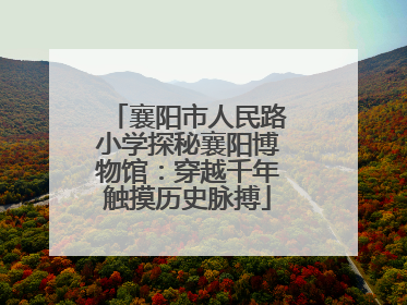 襄阳市人民路小学探秘襄阳博物馆：穿越千年触摸历史脉搏
