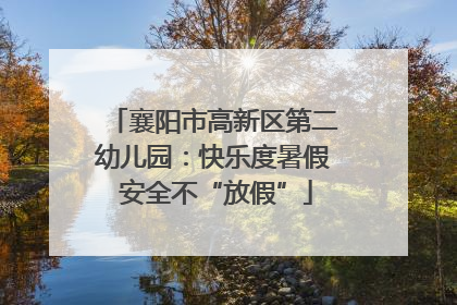 襄阳市高新区第二幼儿园：快乐度暑假 安全不“放假”