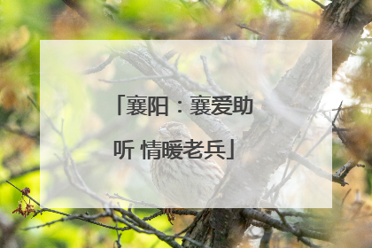 襄阳：襄爱助听 情暖老兵