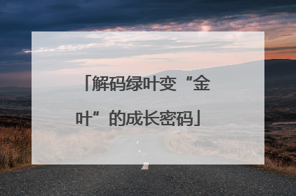 解码绿叶变“金叶”的成长密码