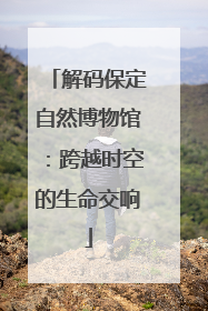 解码保定自然博物馆：跨越时空的生命交响