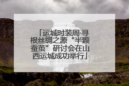 运城时装周·寻根丝绸之源“半颗蚕茧”研讨会在山西运城成功举行