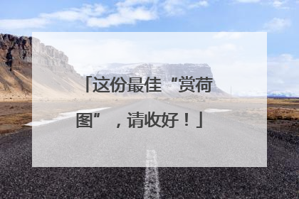 这份最佳“赏荷图”，请收好！