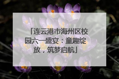 连云港市海州区校园六一盛宴：童趣绽放，筑梦启航