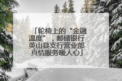 轮椅上的“金融温度”，邮储银行英山县支行营业部真情服务暖人心