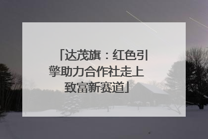 达茂旗：红色引擎助力合作社走上致富新赛道