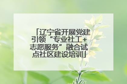 辽宁省开展党建引领“专业社工+志愿服务”融合试点社区建设培训