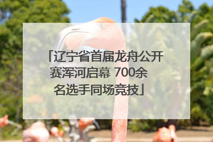 辽宁省首届龙舟公开赛浑河启幕 700余名选手同场竞技