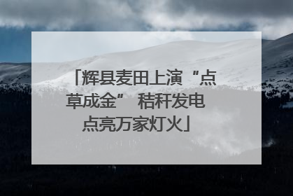 辉县麦田上演“点草成金” 秸秆发电点亮万家灯火