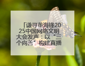谦寻董海锋2025中国网络文明大会发声：以“三个向善”构建直播电商善意长河