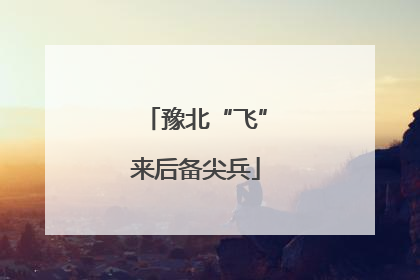 豫北“飞”来后备尖兵