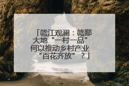 赣江观澜：赣鄱大地“一村一品”何以推动乡村产业“百花齐放”？