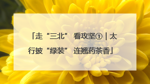 走“三北” 看攻坚①｜太行披“绿装” 连翘药茶香