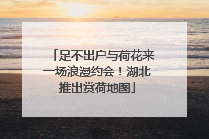 足不出户与荷花来一场浪漫约会！湖北推出赏荷地图