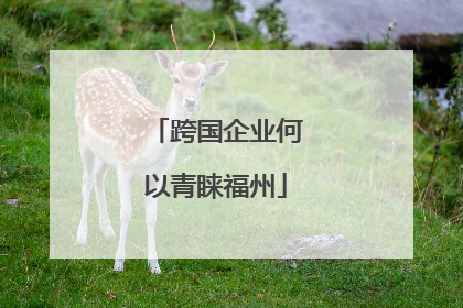 跨国企业何以青睐福州