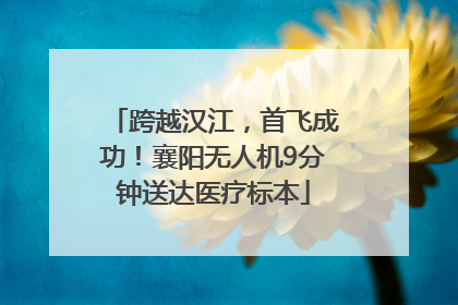 跨越汉江，首飞成功！襄阳无人机9分钟送达医疗标本