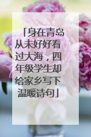 身在青岛从未好好看过大海，四年级学生却给家乡写下温暖诗句