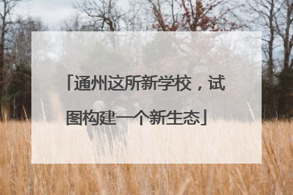 通州这所新学校，试图构建一个新生态