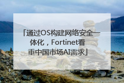通过OS构建网络安全一体化，Fortinet看重中国市场AI需求