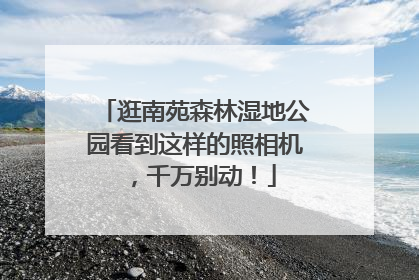 逛南苑森林湿地公园看到这样的照相机，千万别动！